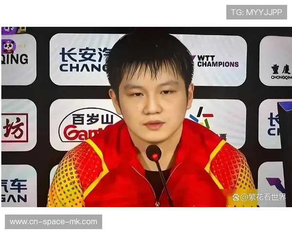 萨尔布吕肯酒店预订量激增40%，樊振东效应激活城市经济链