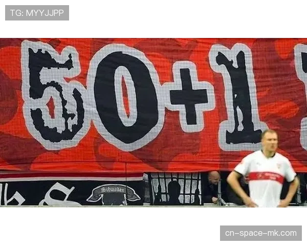 旅游驱动观赛模式对德甲球迷文化的长期影响评估